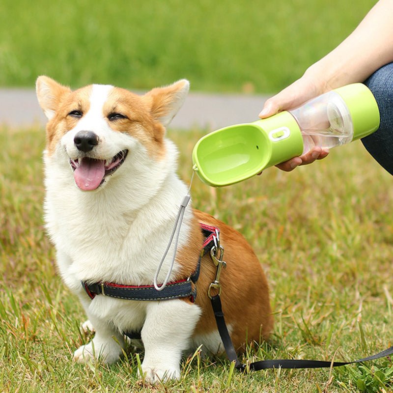 Inthesa™ Portable Pet Water Bottle Feeder